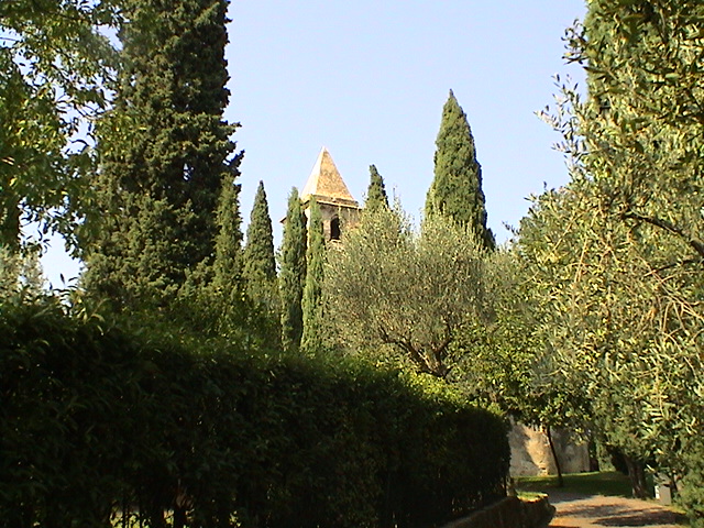 Baum (2) - Baum (2).JPG Baum (2).JPG