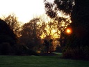 Landschaft Kew Sonnenuntergang